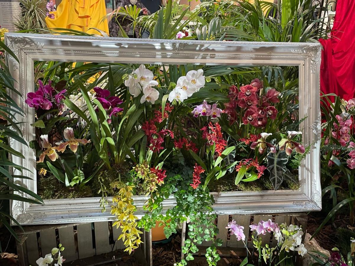 Menton Centre Vue Imprenable Sur Mer Et Jardin Bioves エクステリア 写真