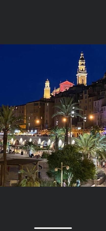 Menton Centre Vue Imprenable Sur Mer Et Jardin Bioves エクステリア 写真