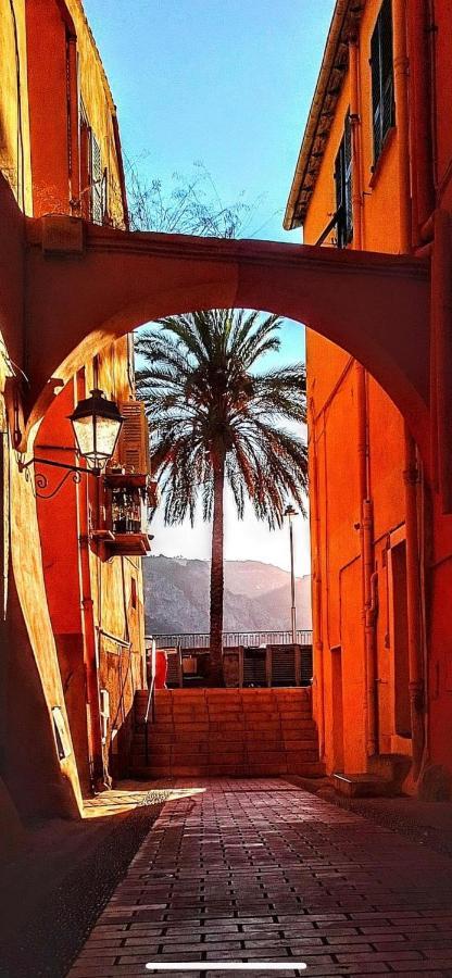 Menton Centre Vue Imprenable Sur Mer Et Jardin Bioves エクステリア 写真