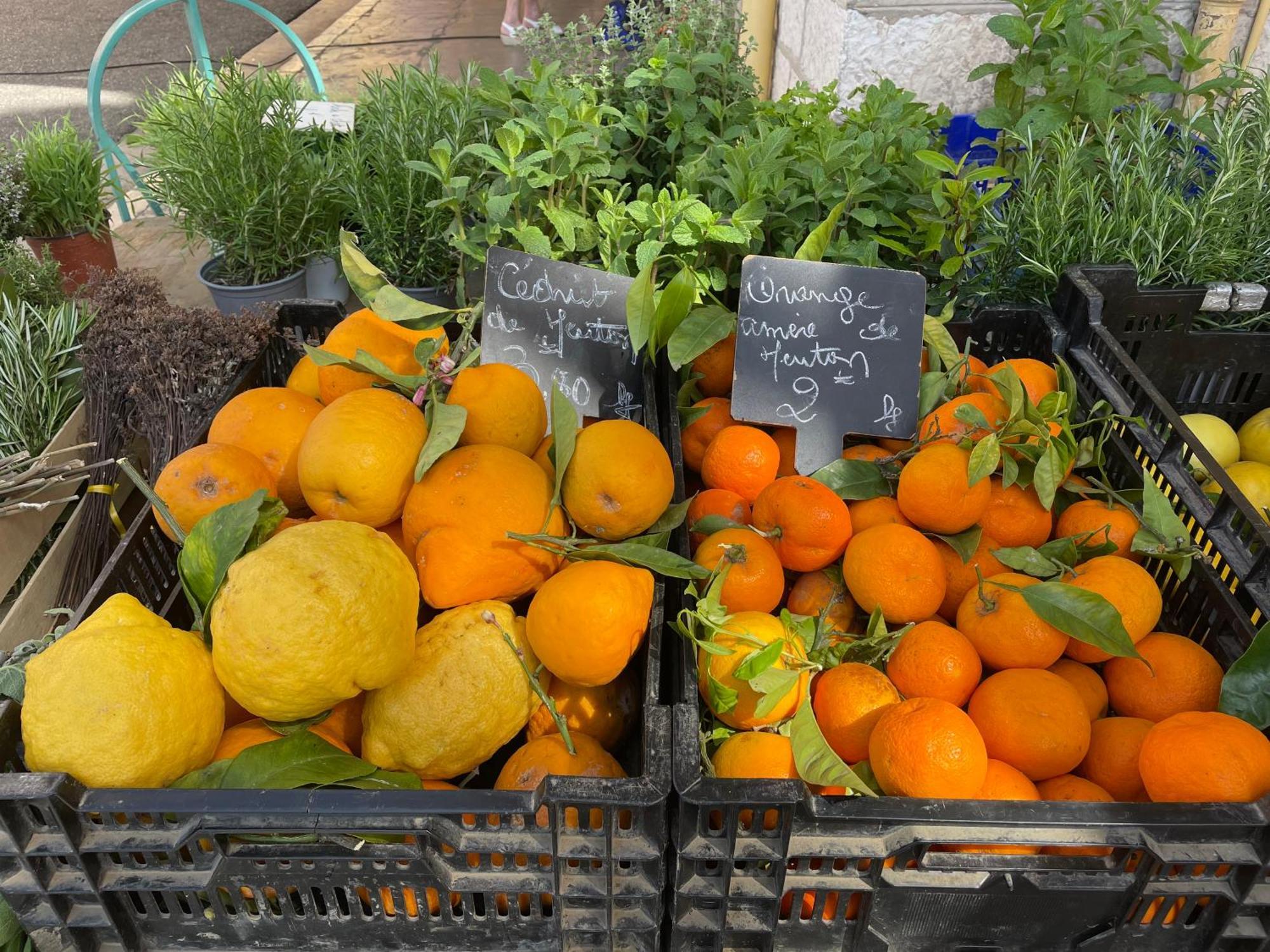 Menton Centre Vue Imprenable Sur Mer Et Jardin Bioves エクステリア 写真